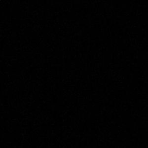 Meet your Posher, Ginger